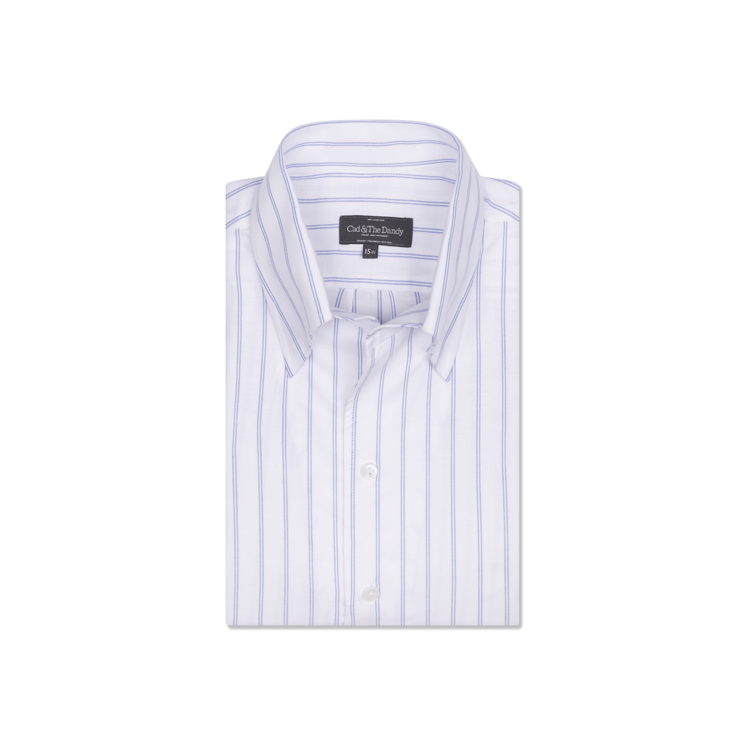 One Piece Button Down Shirt in Blue Double Stripe Stripe Oxford