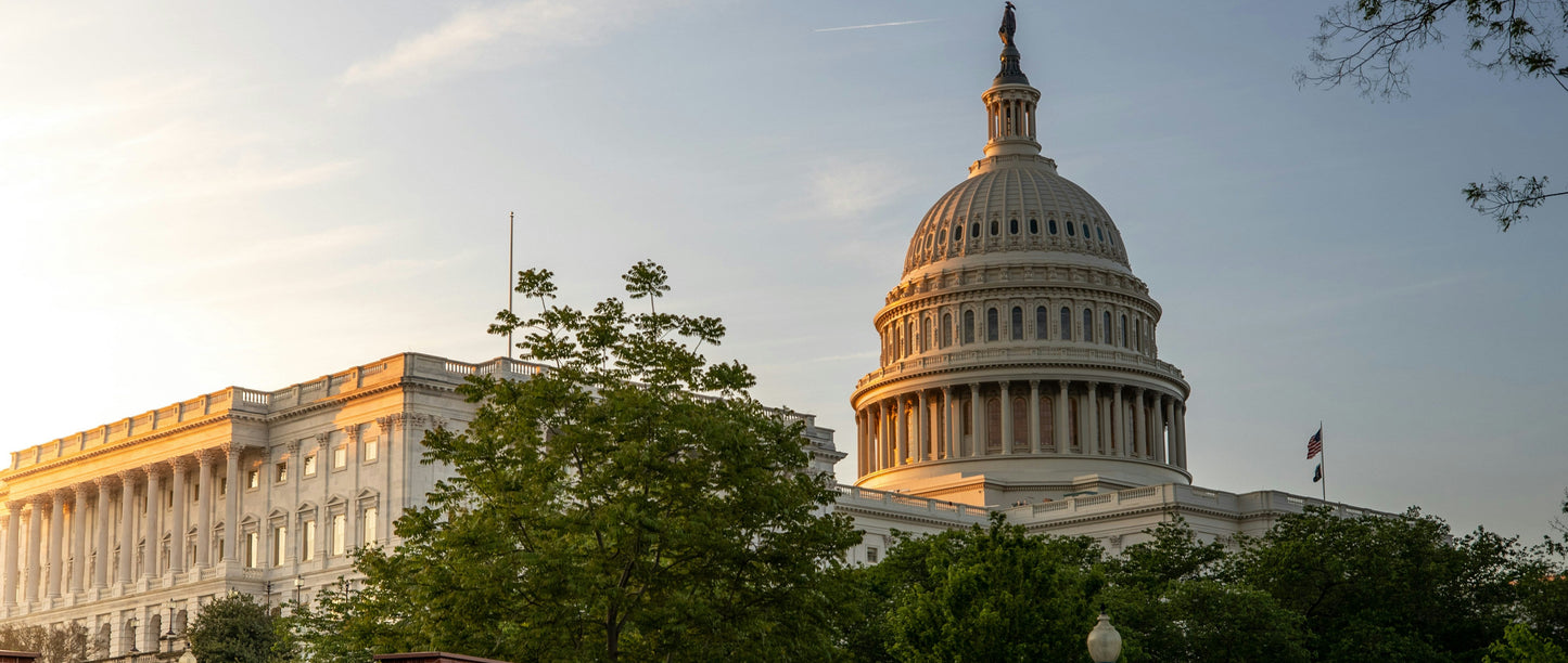 Cad & The Dandy Savile Row