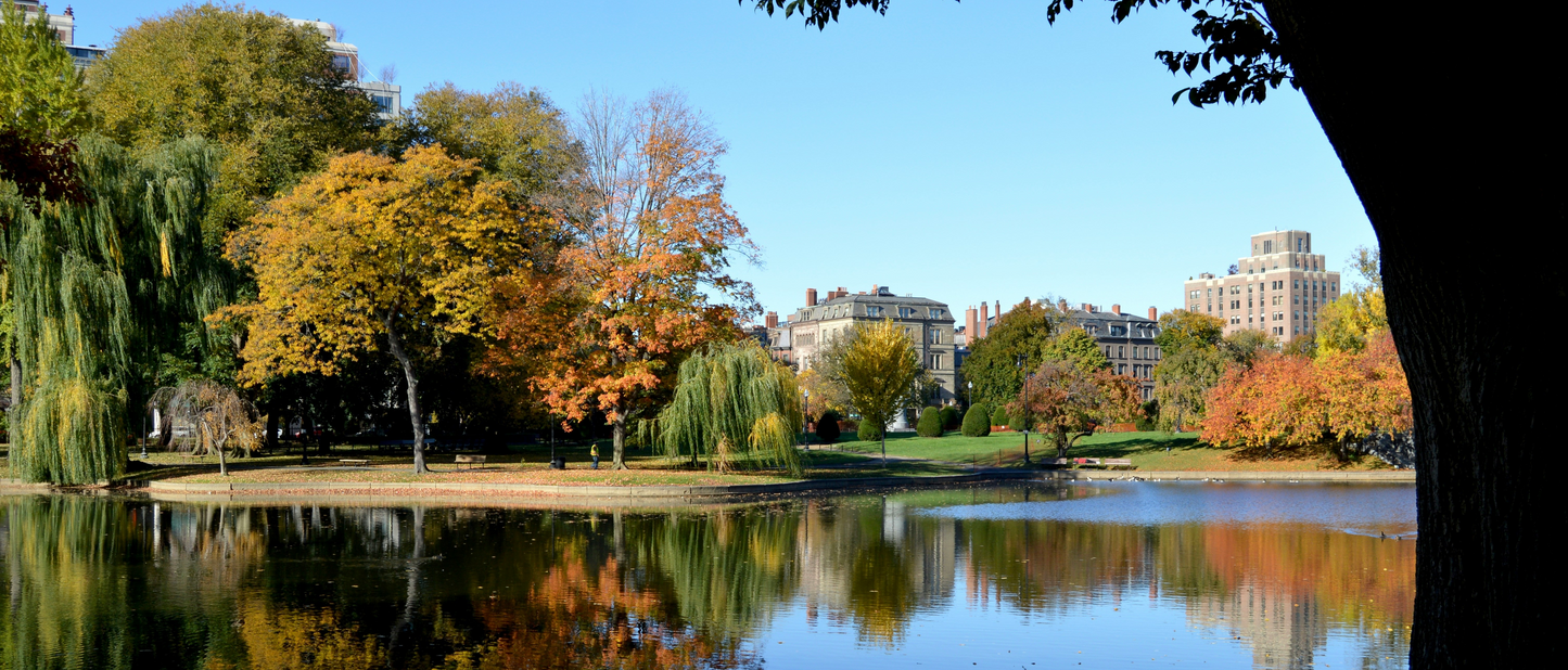 Cad & The Dandy Savile Row