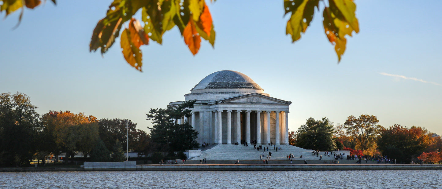 Cad & The Dandy Savile Row