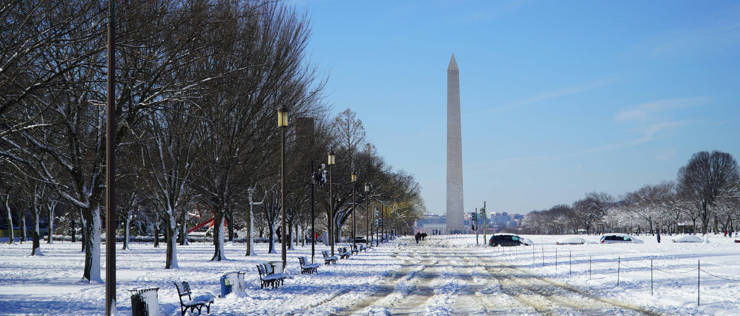 Cad & The Dandy Savile Row