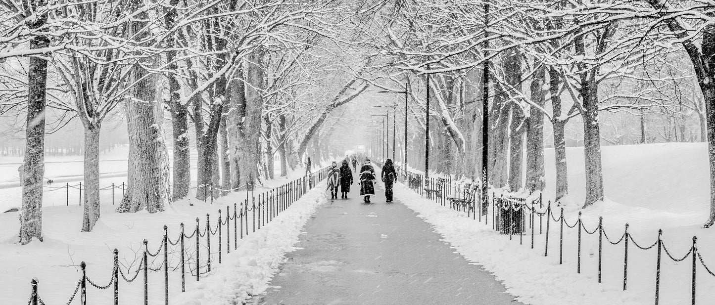 Cad & The Dandy Savile Row